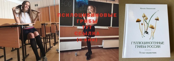 гидра Лабытнанги