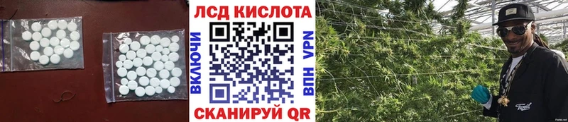 Купить  Выборг  ЛСД экстази кислота 