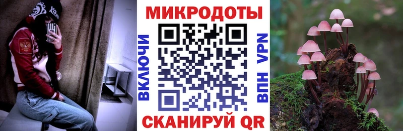 Купить  Выборг  Псилоцибиновые грибы Magic Shrooms 